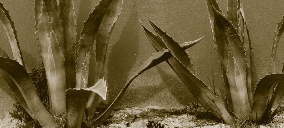 El Centro DF - Richard Sandoval Restaurants