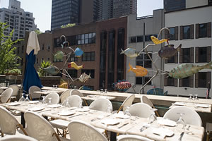 Outdoor Terrace - 50 seated | 100 reception<br> An exclusive outdoor space in the heart of midtown Manhattan.