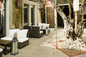 Courtyard - 24 seated / 45 standing